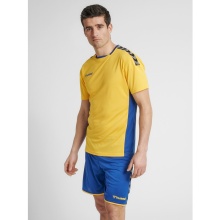 hummel Sport T-shirt hmlAUTHENTIC Poly Jersey (lightweight jersey fabric) Short sleeve yellow/blue Men