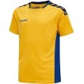 hummel Sport T-shirt hmlAUTHENTIC Poly Jersey (light jersey fabric) Short sleeve yellow/blue Children