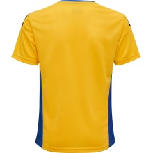 hummel Sport T-shirt hmlAUTHENTIC Poly Jersey (light jersey fabric) Short sleeve yellow/blue Children