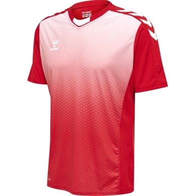 hummel Sport T-shirt hmlCORE XK Sublimation Jersey (Interlock fabric, Beecool) Short sleeve red Men