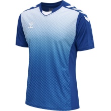 hummel Sport T-shirt hmlCORE XK Sublimation Jersey (Interlock fabric, Beecool) Short sleeve dark blue Men