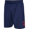 hummel Sports Shorts hmlQ4 Poly Shorts (lightweight mesh fabric) Short dark blue Men