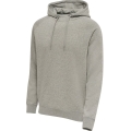 hummel Hooded Sweatshirt Basic hmlRED Classic Hoodie (Cotton) grey Men