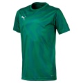 Puma Sport T-shirt Cup Jersey Core green Boys