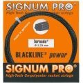 Stringing with tennis string Signum Pro Tornado (Durability+Spin) anthracite