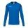 uhlsport Long Sleeve Shirt Squad 27 (100% Polyester) azure blue/navy blue Men's