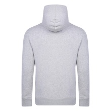 umbro Hoodie Diamond OH Hoodie (Cotton Blend) grey Men